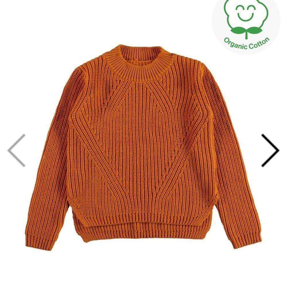 Molo Kids' Organic Cotton Sweater - Autumn brown  Euro 110/116 U.S. 5 to 6 years